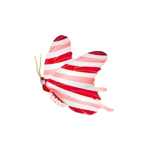 Strawberry Candy Butterfly